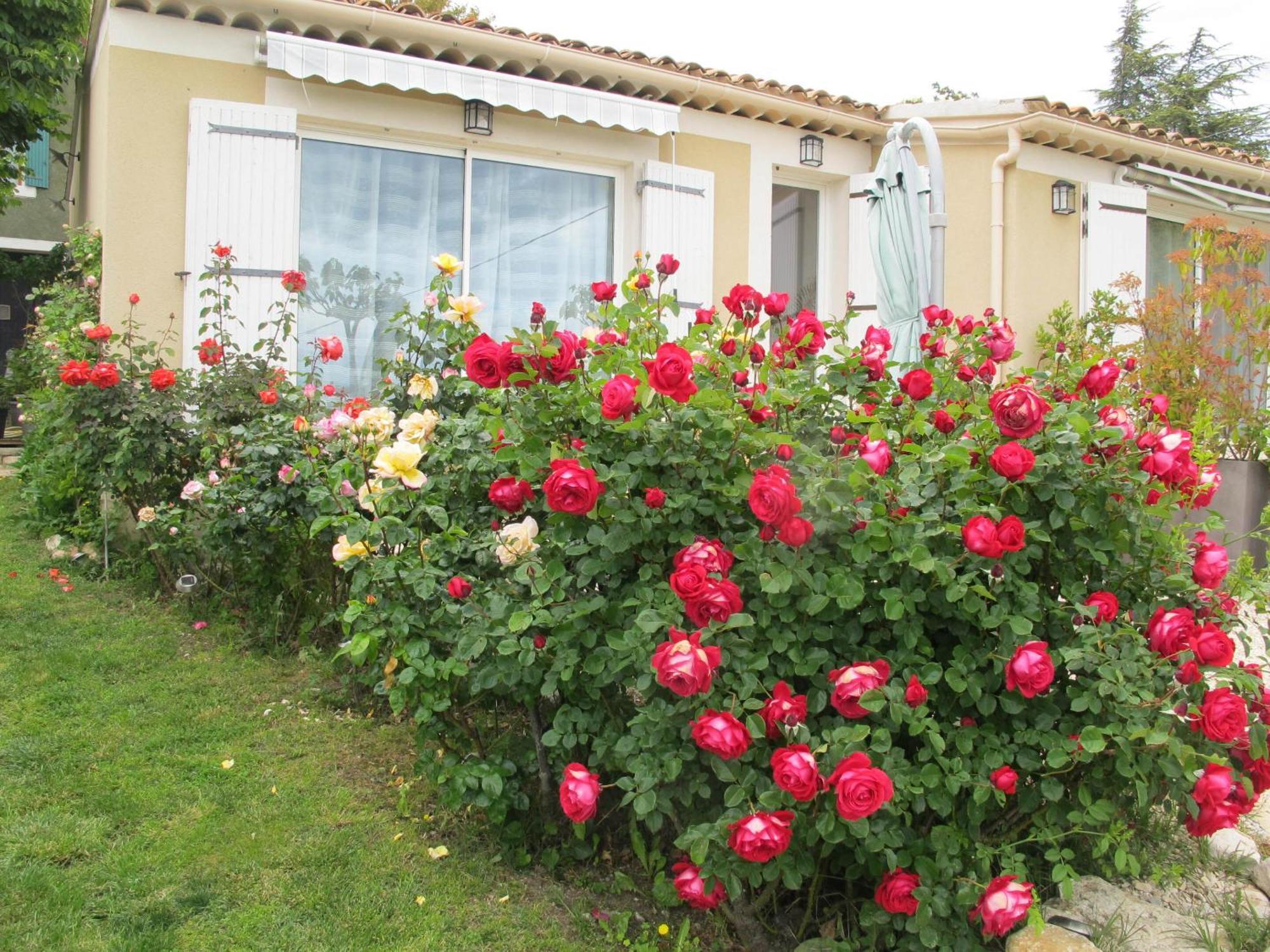 Lou Cardalines Bed and Breakfast Bédoin Exteriör bild